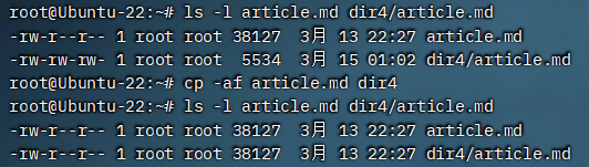 image-20240315010344208