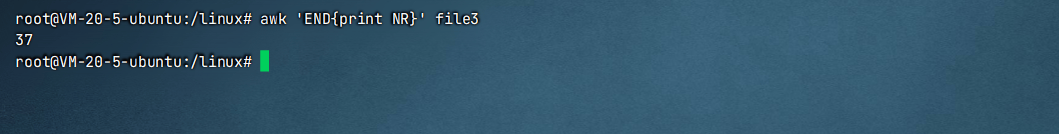 image-20241119120225590