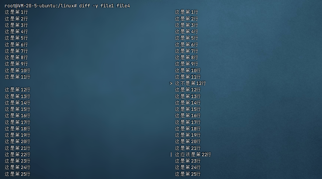 image-20241119130202656