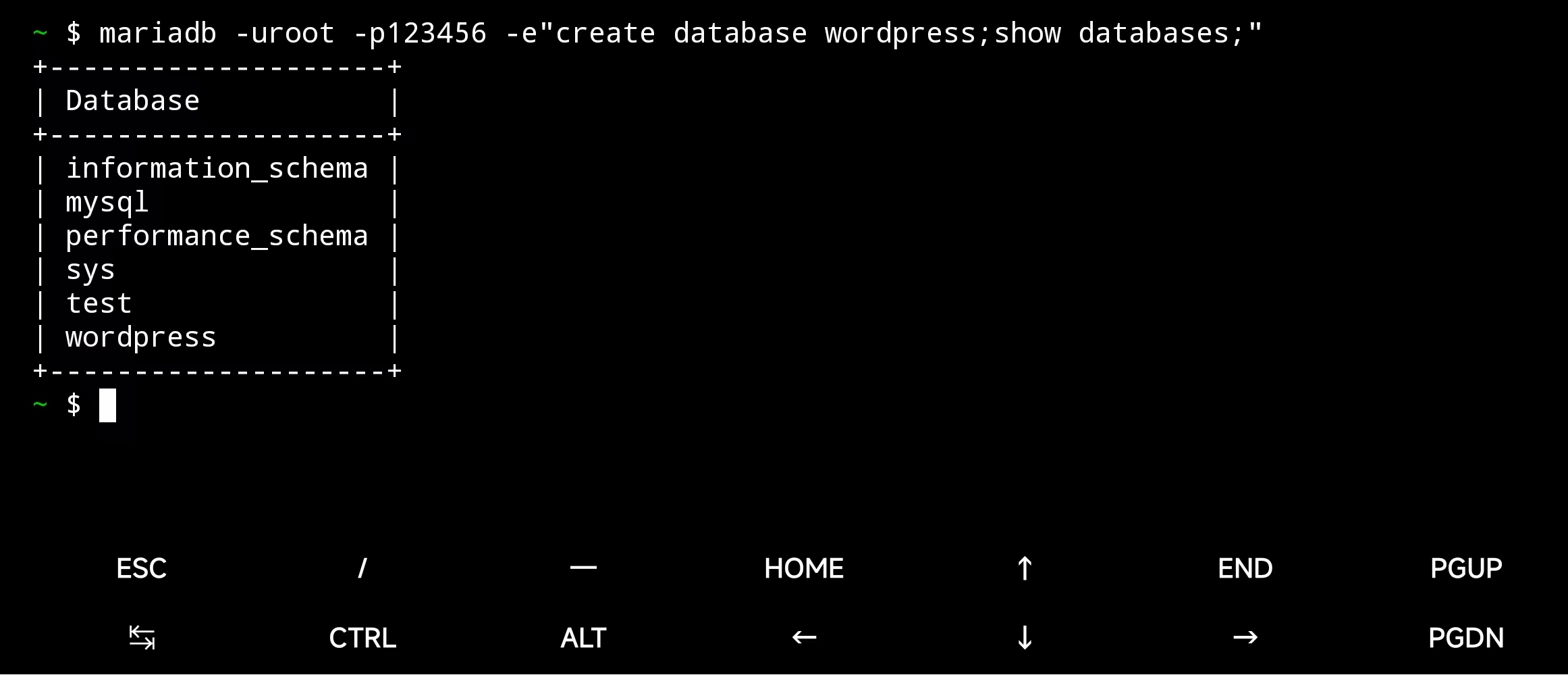 image-20241130224249788