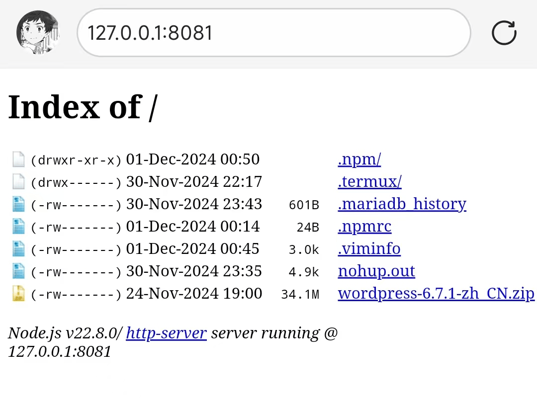 image-20241201181642979