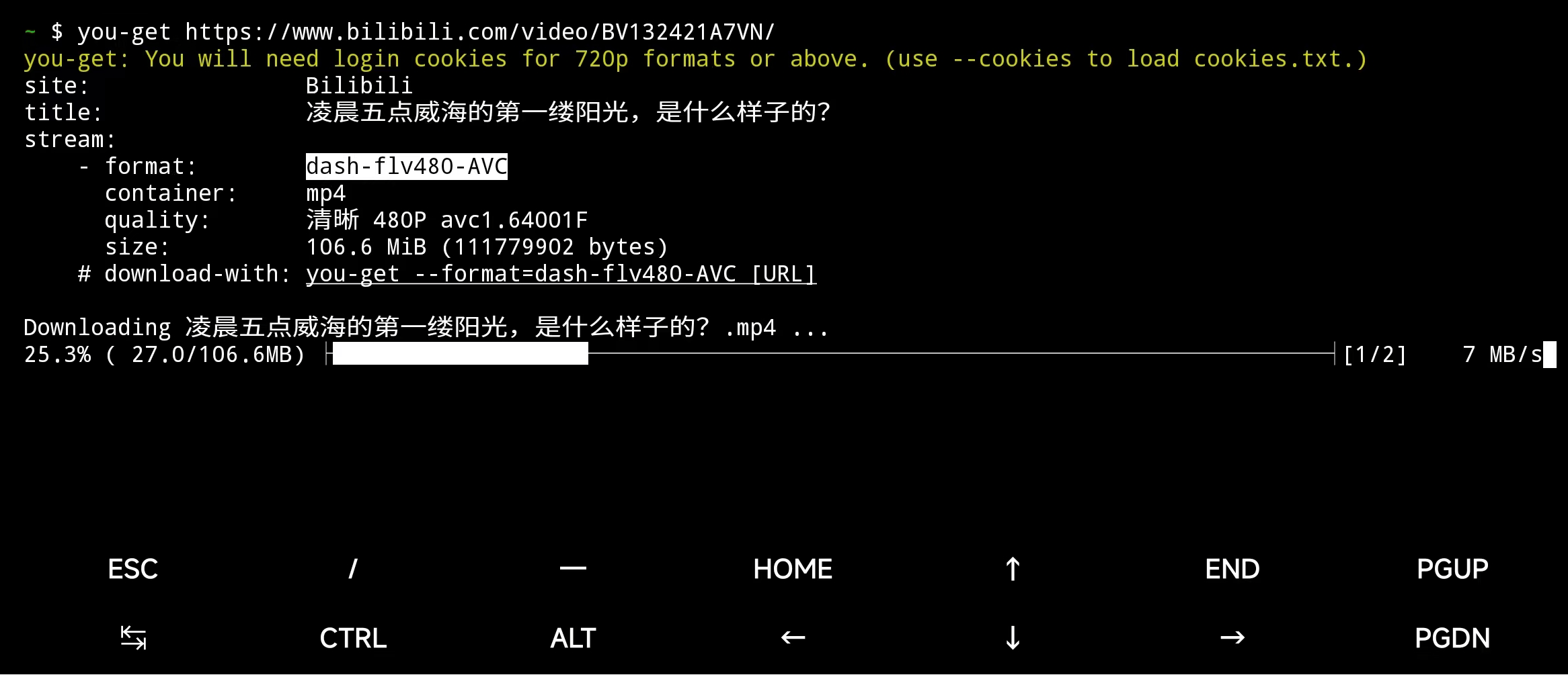 image-20241201220530901