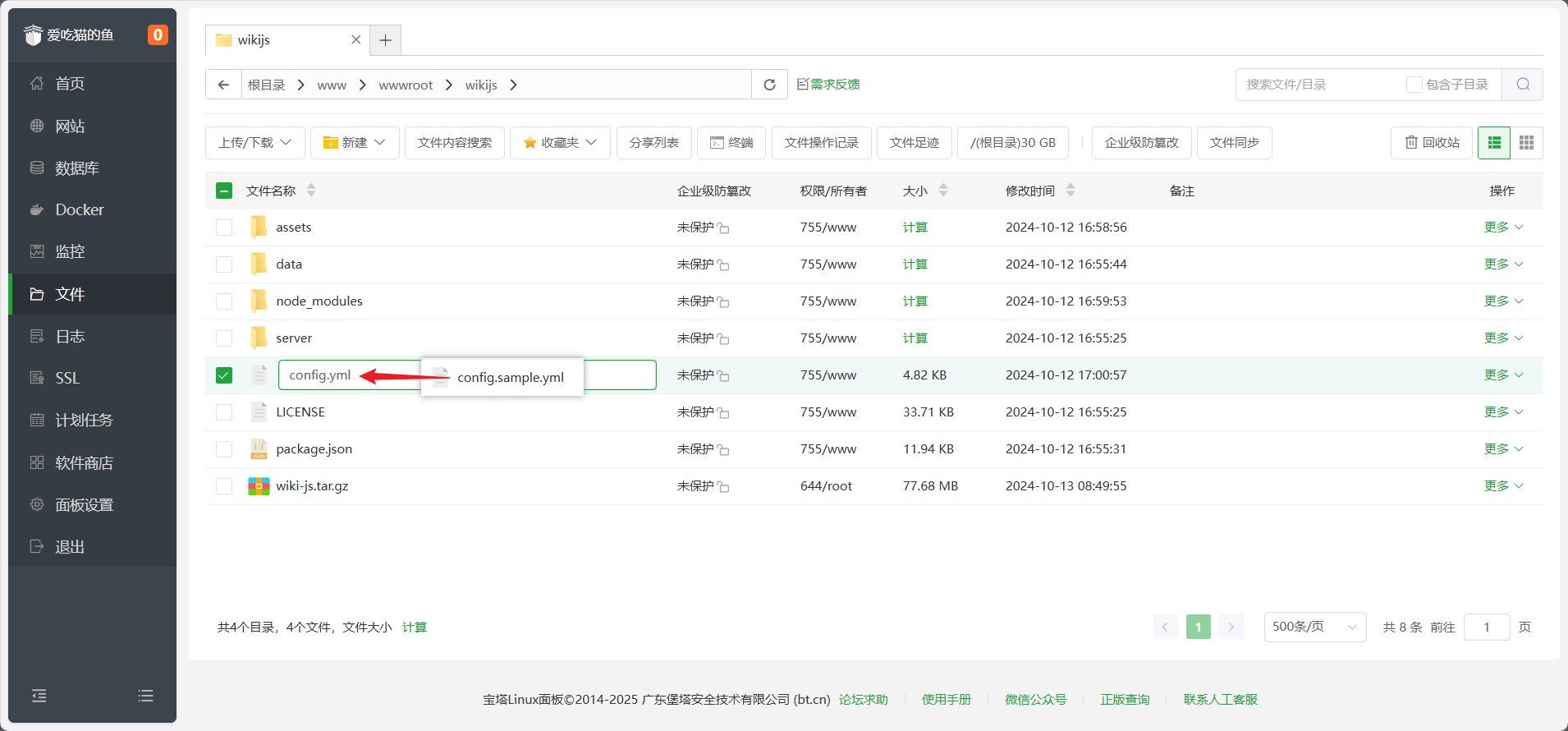 image-20250130201809532