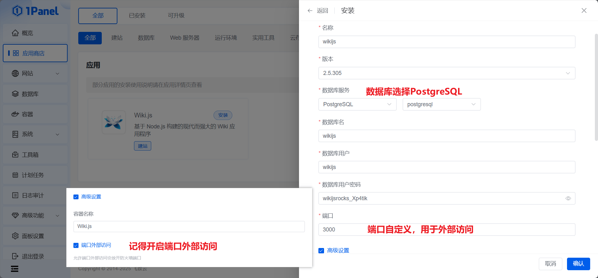 image-20250131141256785