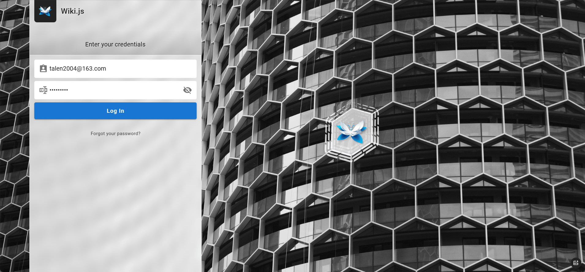 image-20250201115831806